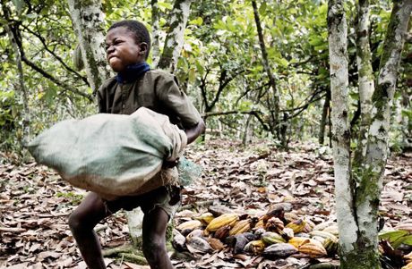 Child slavery cacao