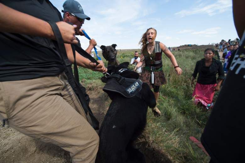 Peaceful Native American Protesters Pepper Sprayed & Attacked By Dogs