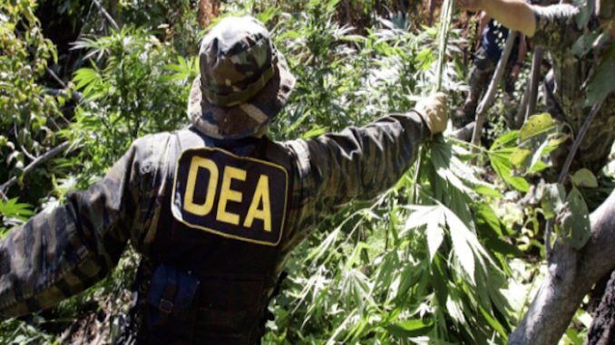 Bolivia successfully end 'war on drugs' in country by banning the DEA