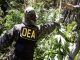 Bolivia successfully end 'war on drugs' in country by banning the DEA