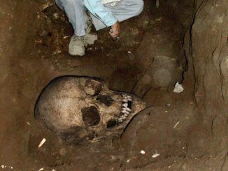 Cemetery of giants discovered in central Africa