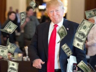 Dollar hits an all time high thanks to Trump win