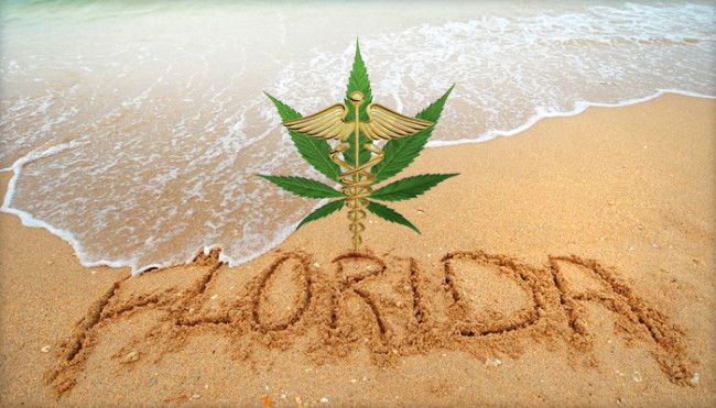 Big Win For Medical Marijuana In Florida