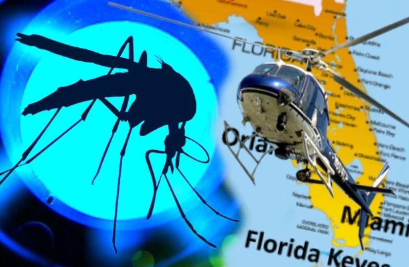 Genetically Modified Mosquitoes Given Green Light In Florida