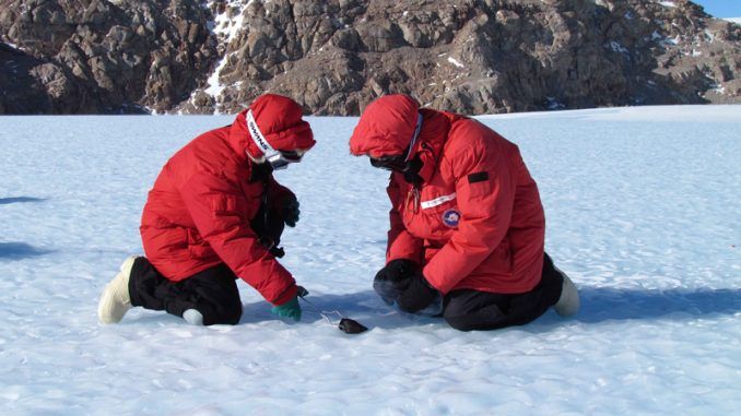 Russian scientists discover new life form in Antarctica