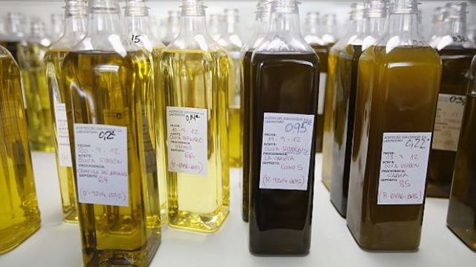 More than two-thirds of common brands of extra-virgin olive oil found in American grocery stores aren’t what they claim to be, according to a University of California at Davis study.