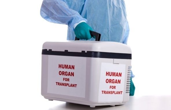 International Organ Trafficking Ring Busted In Egypt