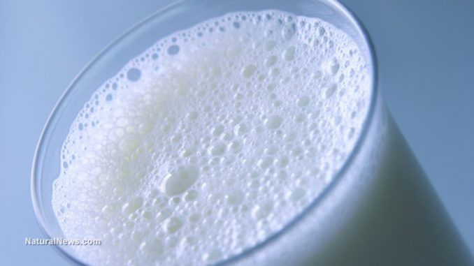 Dairy industry pump milk with cancer-causing chemicals