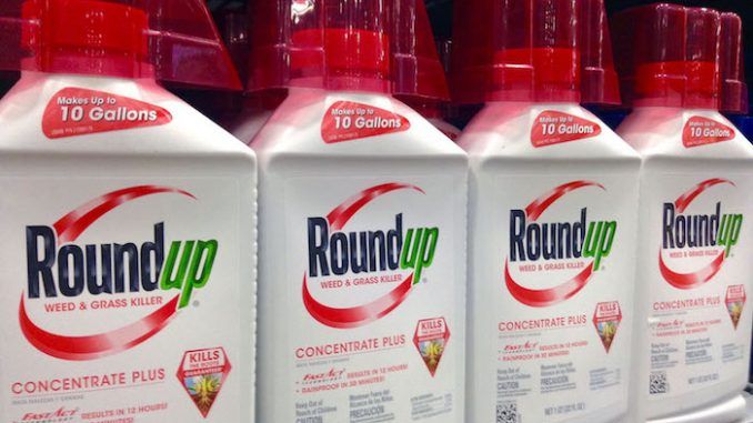 Monsanto weed-killer 'Roundup' labelled as cancer-causing in California