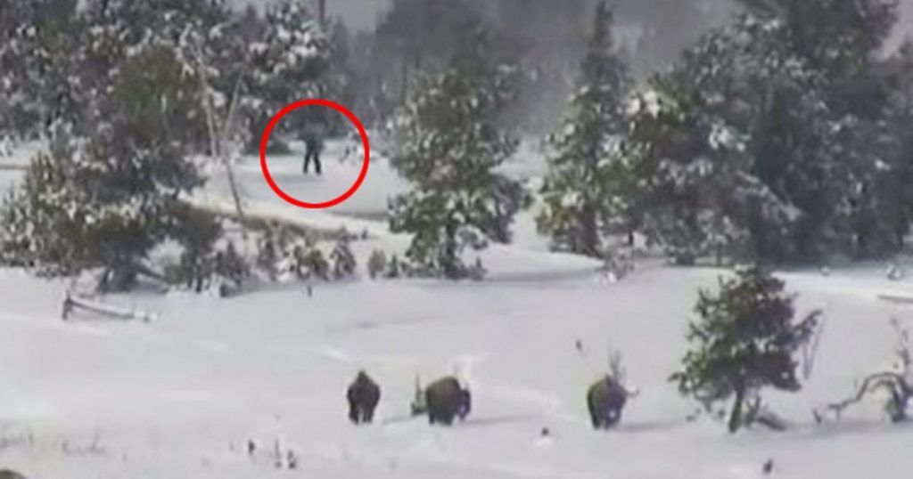 North Dakota resident tracks Bigfoot 7 miles in the snow