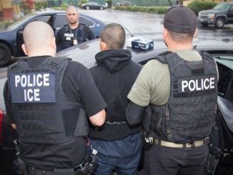 150 arrested in Los Angeles ICE raids are convicted child sex offenders