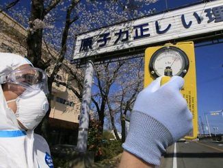 The Japanese government has been found guilty of negligence causing the Fukushima disaster and ordered to pay out millions.