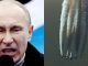 Vladimir Putin has criticised Western governments for conducting ‘Geoengineering’ operations, claiming they pose a 'monumental threat' to humanity.