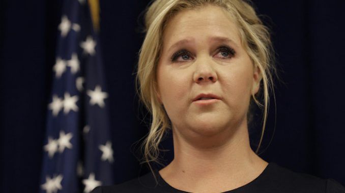 Amy Schumer has launched an attack on Trump supporters, blaming them for the flop of her critically panned Netflix show, The Leather Special.