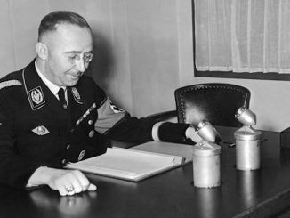 Nazi letter discovery reveals Himmler supported Palestinians