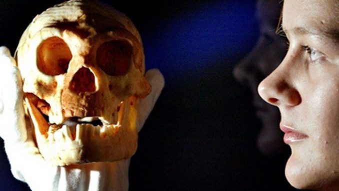 Indonesia hobbits are not related to humans, scientists confirm