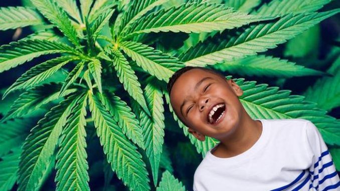Study finds marijuana a miracle cure for autism