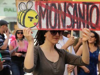 Court hears evidence about how Monsanto employed online troll army to combat negative comments about the company