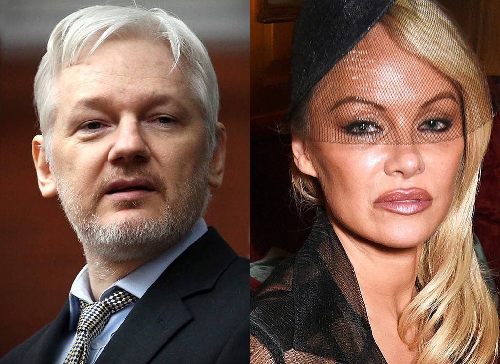 Pamela Anderson has urged WikiLeaks founder Julian Assange to seek refuge in Le Pen's France, before US authorities go after him.
