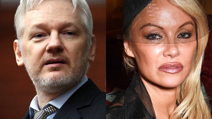 Pamela Anderson has urged WikiLeaks founder Julian Assange to seek refuge in Le Pen's France, before US authorities go after him.