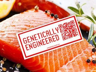 FDA launch pro GMO propaganda campaign