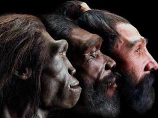 The history of human evolution has been rewritten after scientists discovered that Europe was the birthplace of mankind, not Africa.