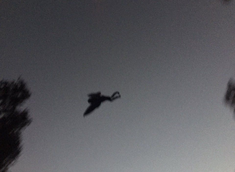 Mothman creature spotted over Chicago