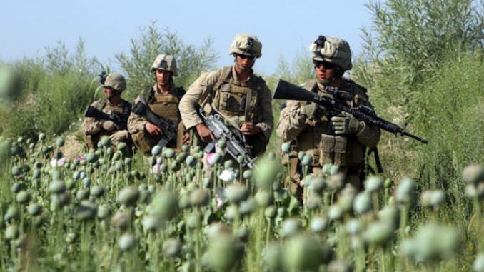 US Nato invasion of Afghanistan results in soaring opium production