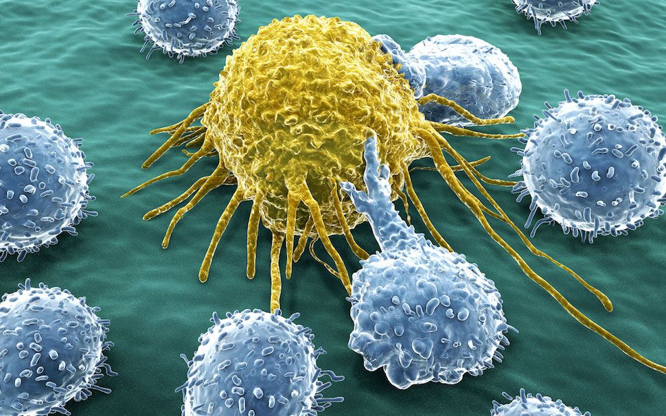 Scientists create artificial virus that kickstarts immune system and fights cancer cells