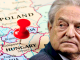 Austria labels George Soros enemy of the state
