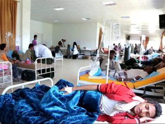 400,000 cases of Cholera found in Yemen