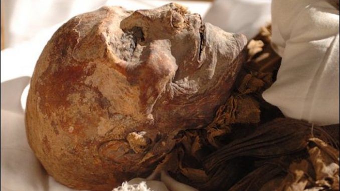 Ancient Egyptians visited the Americas as early as 1,000 BC and traded with locals for tobacco and cocaine, a new find suggests.