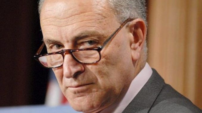 Chuck Schumer requests immediate shut down of voter fraud commission