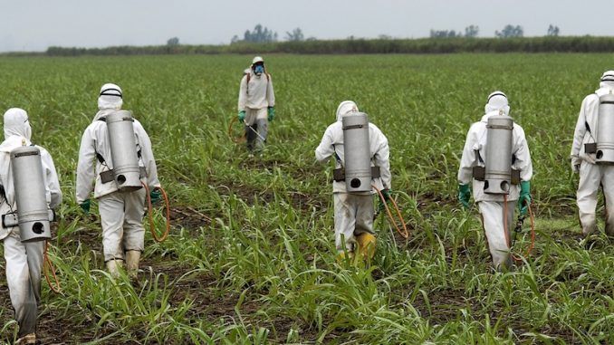 Monsanto attacks cancer organization who exposed dangers of Roundup