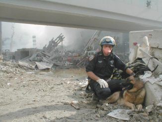 Security guard alleges that bomb sniffing dogs were removed from WTC complexes day before 911