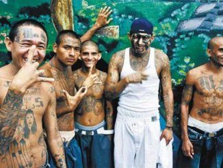 California to pay murdering gang members $1000 to stop killing people