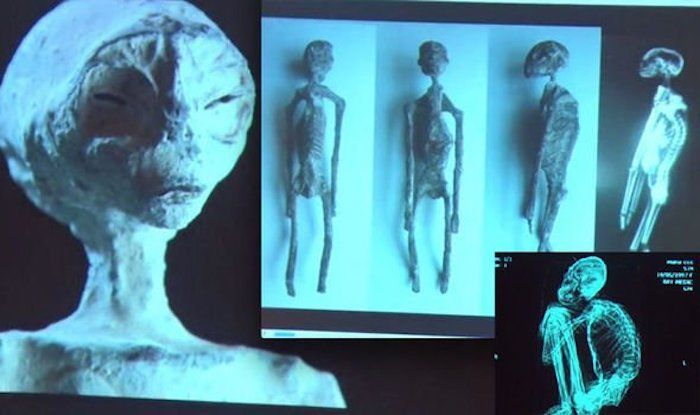 Alien family discovered in Peru