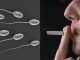 Canadian researchers say smoking marijuana makes men infertile