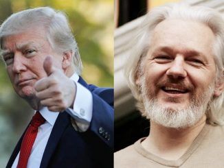 Trump considers pardoning Julian Assange