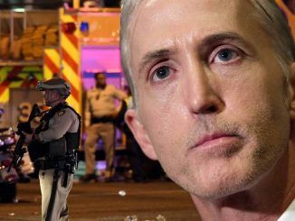 Trey Gowdy has questioned the "lone wolf" narrative being pushed by mainstream media, saying it is "difficult to believe."