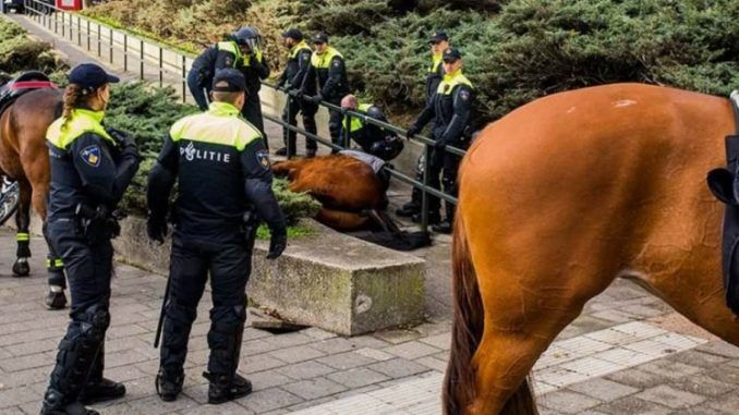 Antifa member jailed for killing police horse
