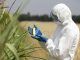 Monsanto quietly renames GMO ingredients on food labels