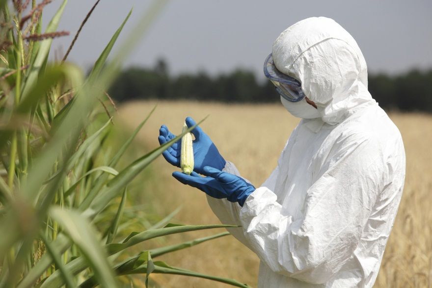 Monsanto quietly renames GMO ingredients on food labels