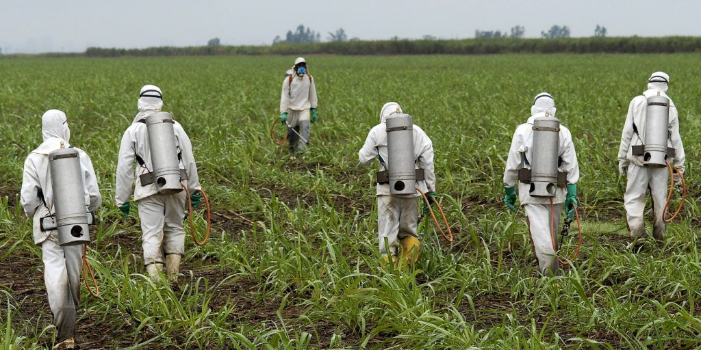 Monsanto Roundup weedkiller found to destroy Microbiome in humans and soil