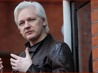 Julian Assange insists Russia was not the source of DNC email leaks