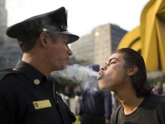 Study finds smoking weed drastically reduces violent crimes