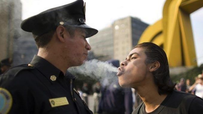 Study finds smoking weed drastically reduces violent crimes