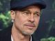 Brad Pitt has spoken out against the move to confiscate guns from ordinary, law-abiding American citizens, declaring it "UnAmerican."