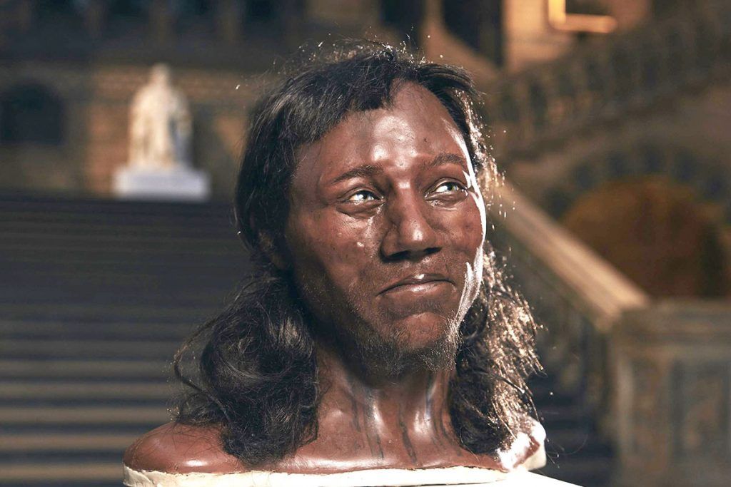 Scientists claim the dark-skinned Briton Cheddar man is a myth