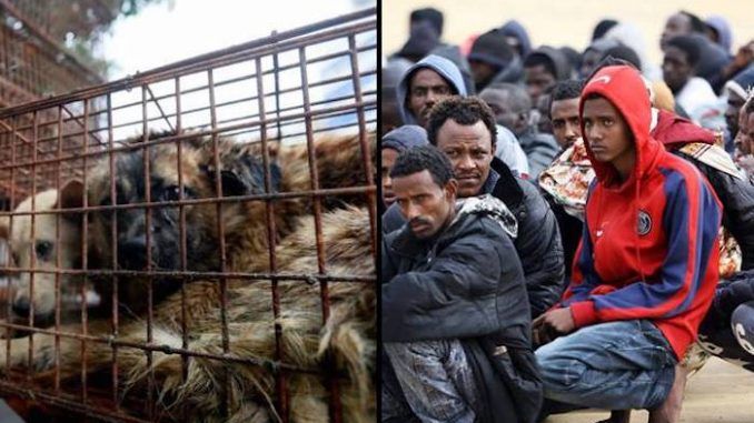 Italians left horrified after migrants barbecue local pet dogs